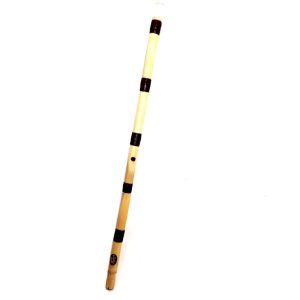 نی رسولی