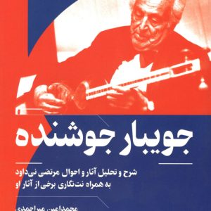 جویبار جوشنده شرح و تحلیل آثار و احوال مرتضی نی‌داود محمدامین میر احمدی