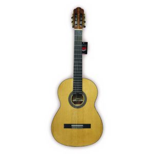 گیتار ساوارز